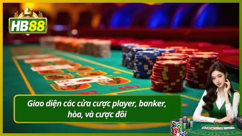Giao diện các cửa cược player, banker, hòa, và cược đôi
