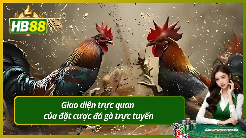 Giao diện trực quan của đặt cược đá gà trực tuyến
