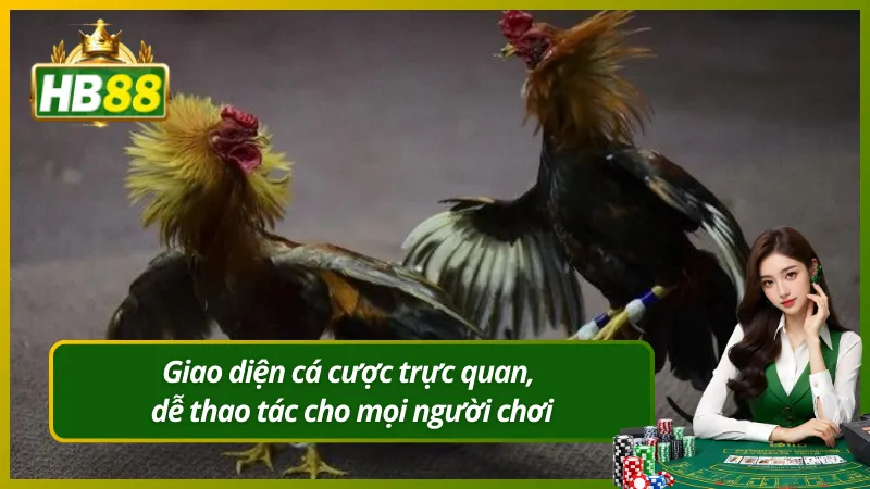 Giao diện cá cược trực quan, dễ thao tác cho mọi người chơi