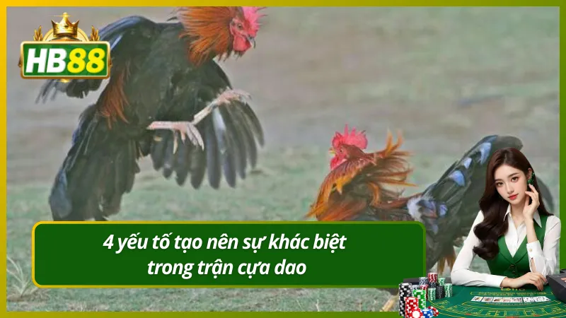 4 yếu tố tạo nên sự khác biệt trong trận cựa dao