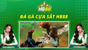 Đá Gà Cựa Sắt