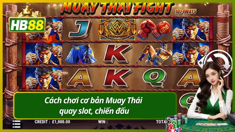 Cách chơi cơ bản Muay Thái quay slot, chiến đấu