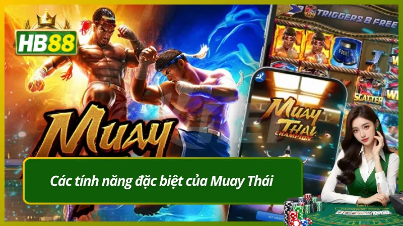 Các tính năng đặc biệt của Muay Thái