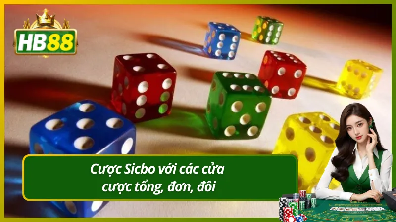 Cược Sicbo với các cửa cược tổng, đơn, đôi
