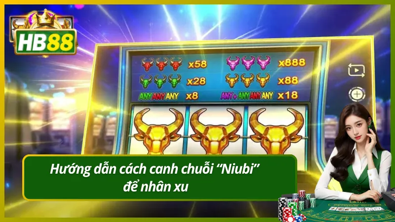 Hướng dẫn cách canh chuỗi “Niubi” để nhân xu