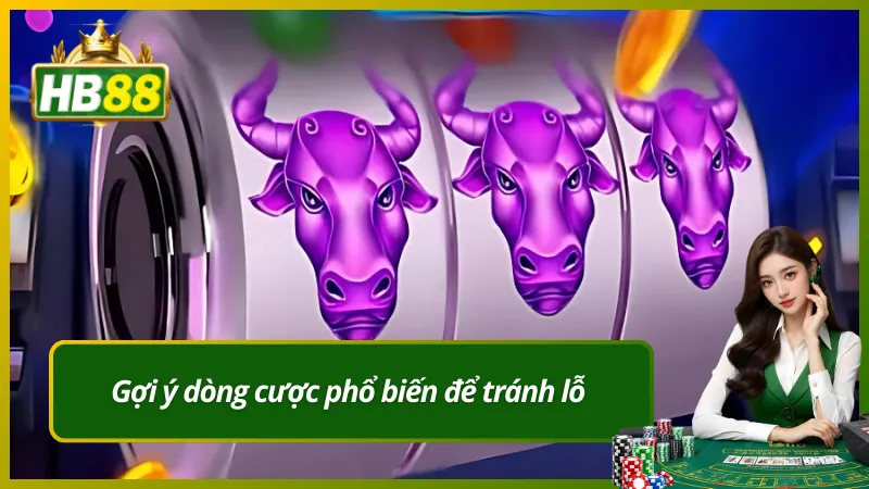 Gợi ý dòng cược phổ biến để tránh lỗ