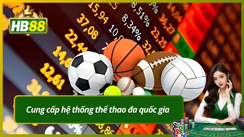 Cung cấp hệ thống thể thao đa quốc gia