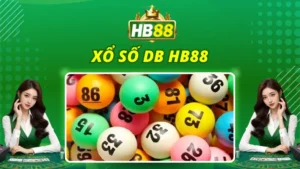 Xổ Số DB